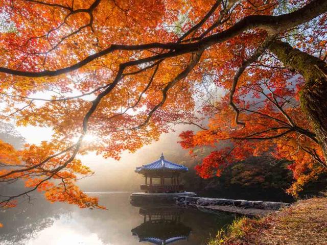 内藏山国立公园的秋景，韩国
