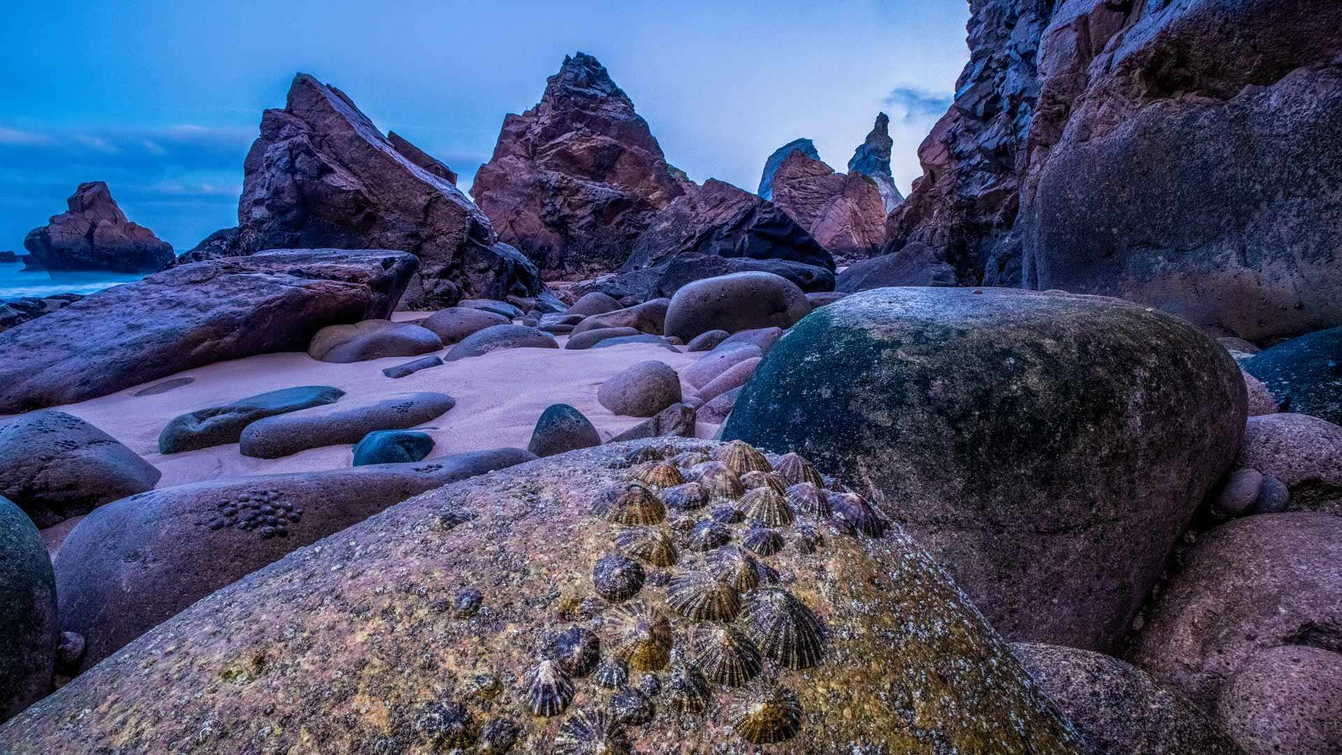 Bing Detail Image