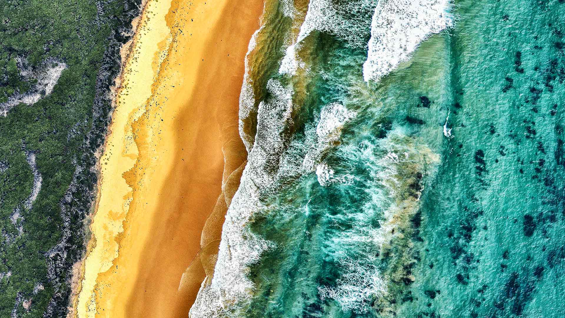 Bing Detail Image