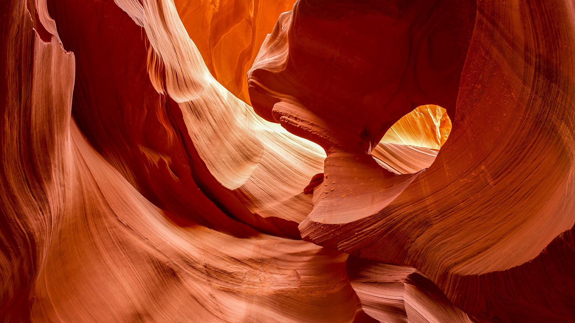 Bing Detail Image