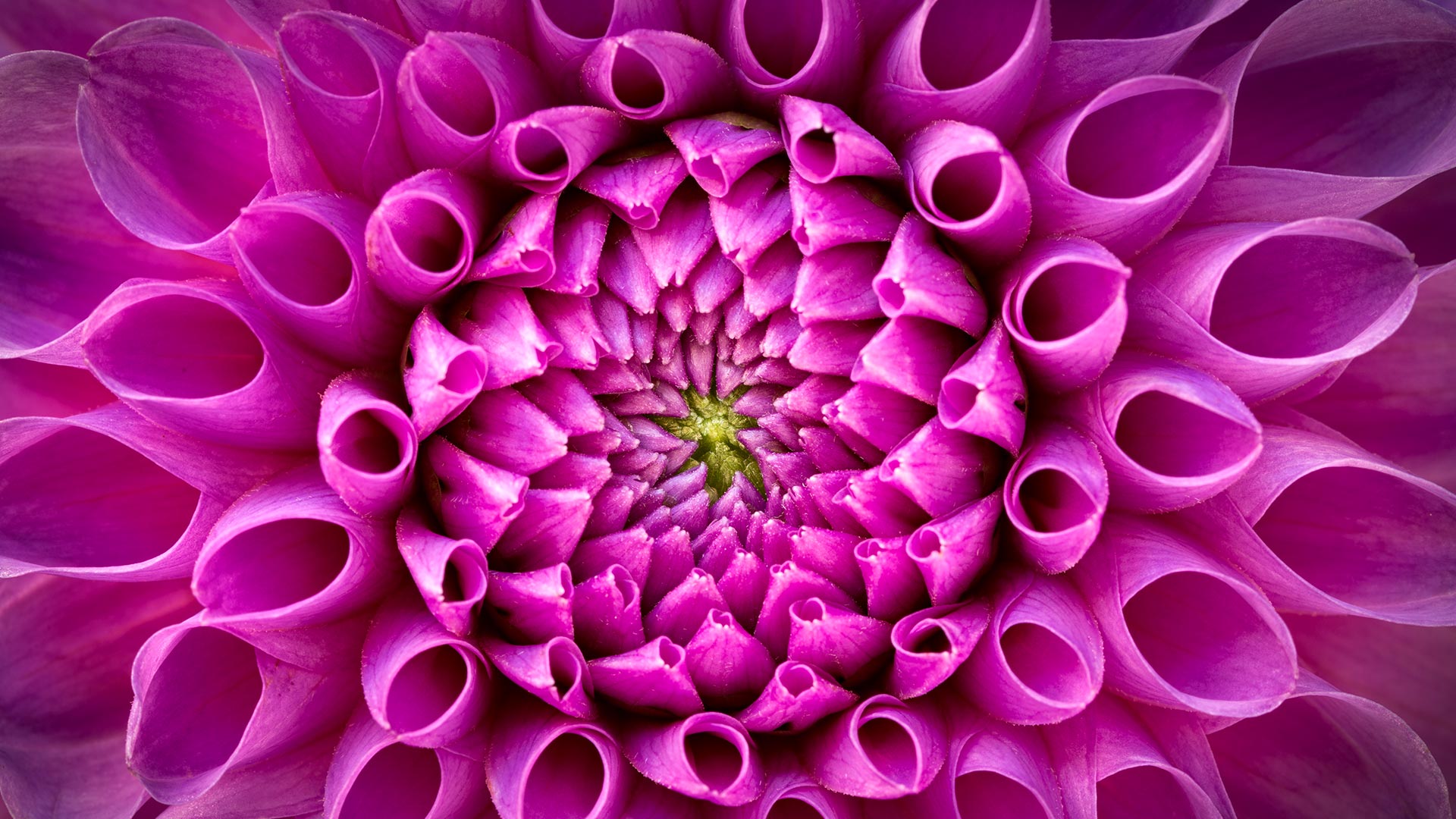 Bing Detail Image