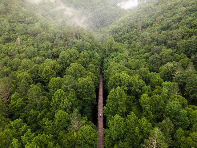 鸟瞰弗吉尼亚爬山虎步道，达马斯克斯，弗吉尼亚州，美国
